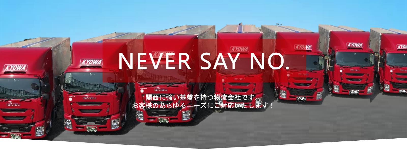 Never Say No ł邱Ƃőɒ񋟂܂I